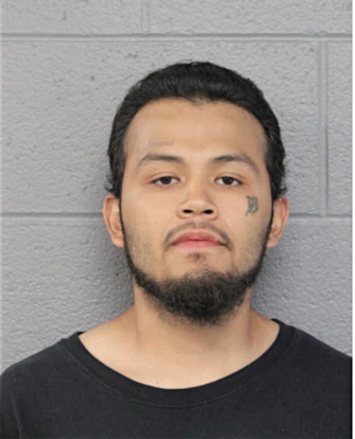 OMAR R FLORES, Cook County, Illinois