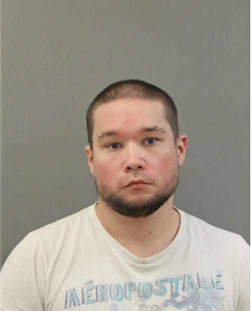 JOSHUA M IRIZARRY, Cook County, Illinois