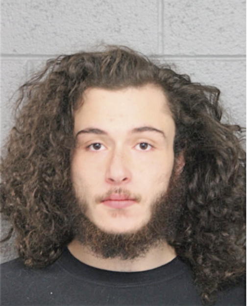 FRANCISCO L J PEREZ, Cook County, Illinois