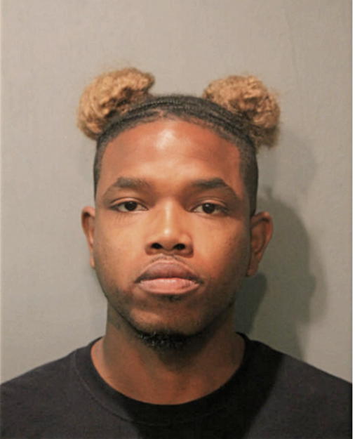 MICHAEL A JOHNSON, Cook County, Illinois