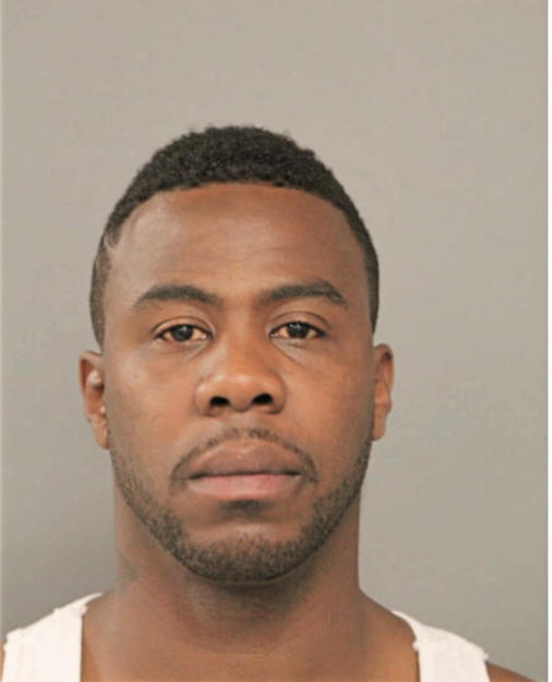 MICHAEL N LOWRY, Cook County, Illinois