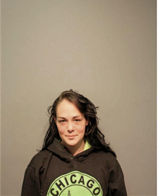 SARAH E LYON, Cook County, Illinois