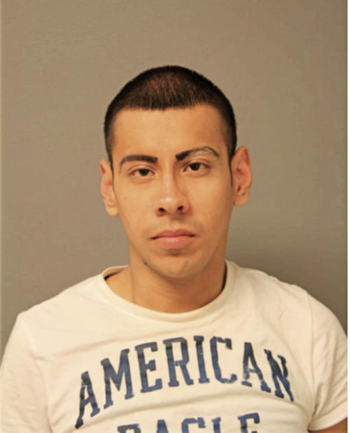 JUAN C MARTINEZ, Cook County, Illinois