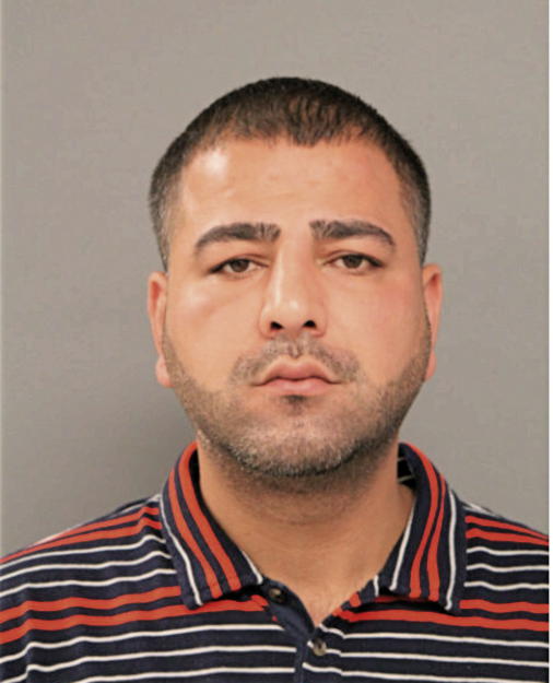 SAFI M MOHAMMAD, Cook County, Illinois