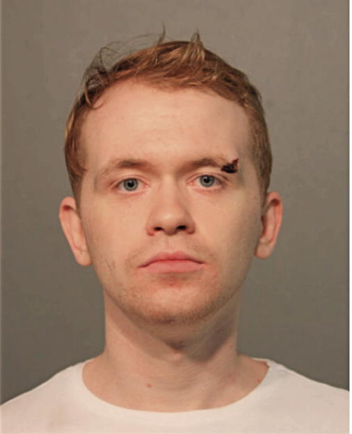 MATTHEW R NELSON, Cook County, Illinois