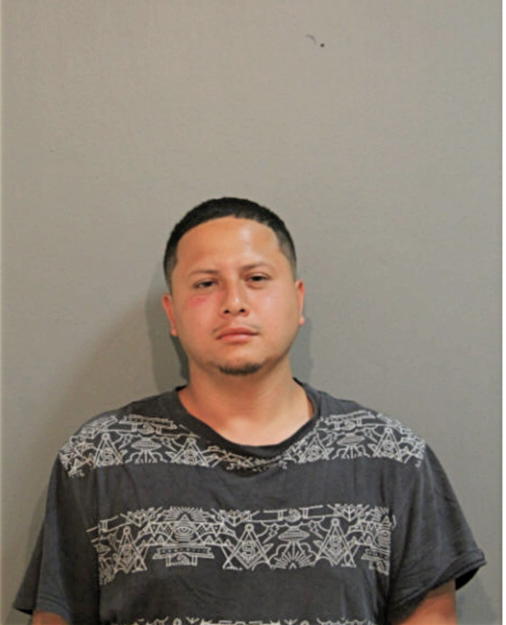 ROBERT E ORTEGA, Cook County, Illinois