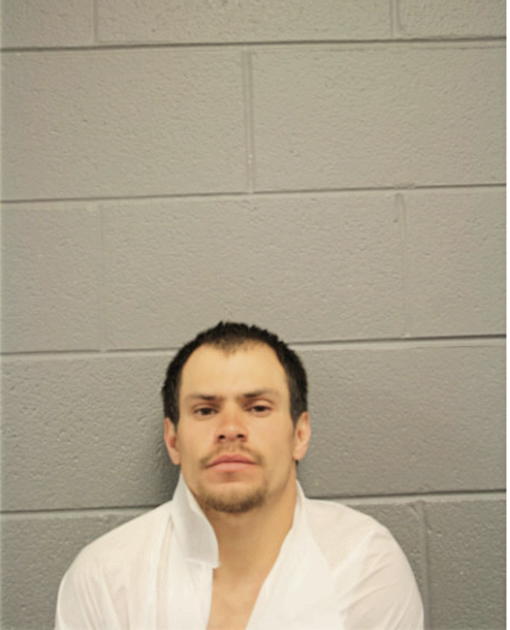 WILLIAM L PIPKIN, Cook County, Illinois