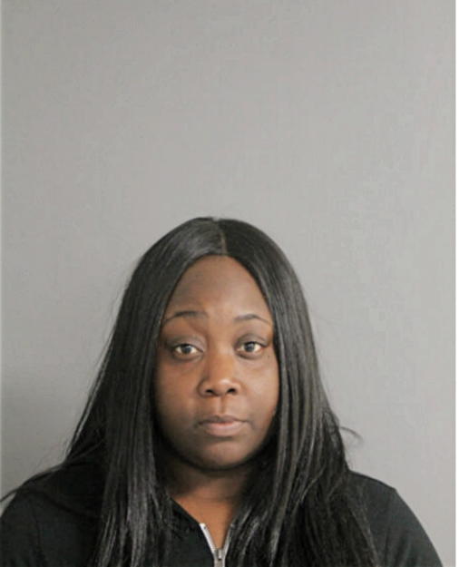 BRITTANY S RICE, Cook County, Illinois