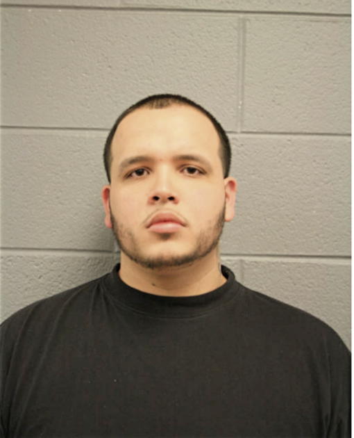 ANTHONY C ROMO, Cook County, Illinois