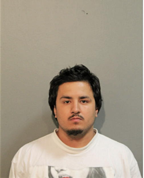 RICARDO RENE RUIZ, Cook County, Illinois
