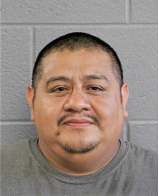 JUAN CARLOS SALGADO INES, Cook County, Illinois