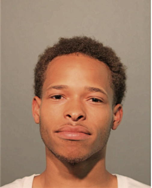 BRANDON L STRICKLAND, Cook County, Illinois