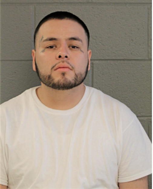RAUL A TAMAYO, Cook County, Illinois