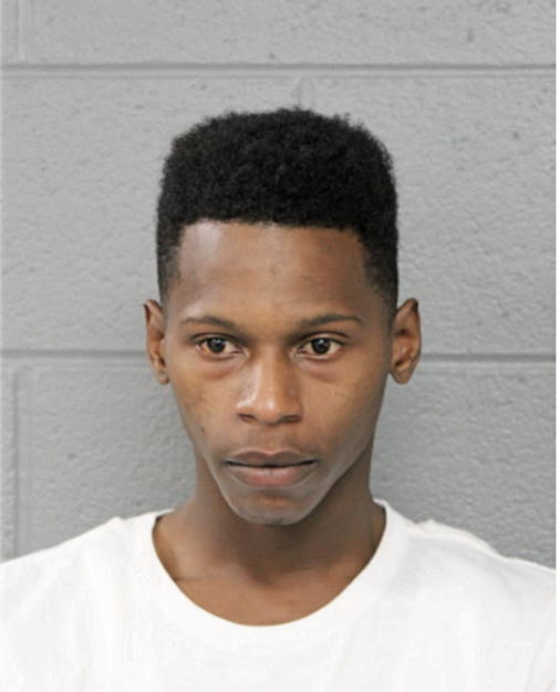 RAYMOND R TAYLOR, Cook County, Illinois