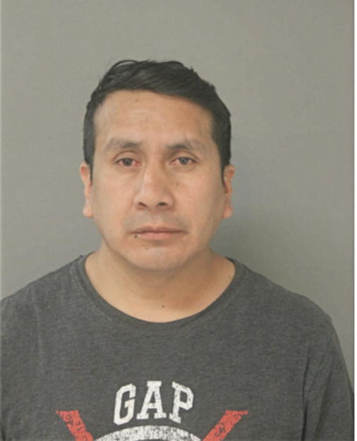 JULIO CESAR TOBAY, Cook County, Illinois