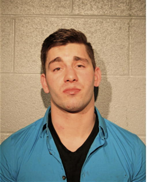 ROBERT L WADDELL, Cook County, Illinois