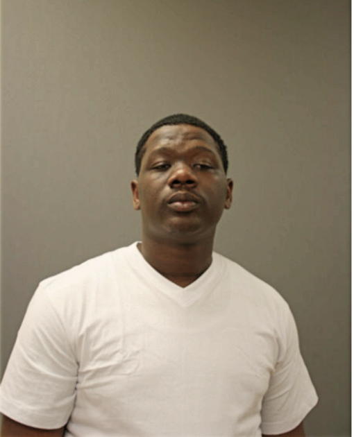 MICHAEL G YOUNG, Cook County, Illinois