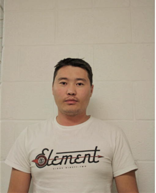 BATMUNKH ALTANKHUYAG, Cook County, Illinois
