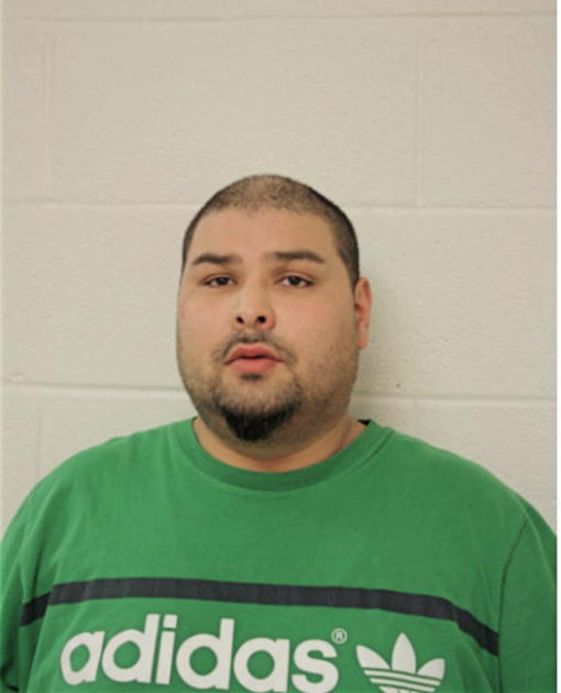 LUIS ALVARADO, Cook County, Illinois
