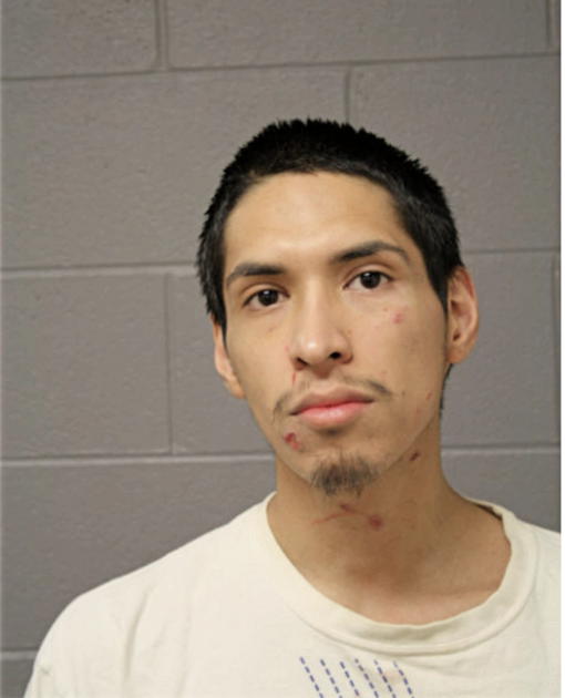 ELVIS ANTUNEZ, Cook County, Illinois
