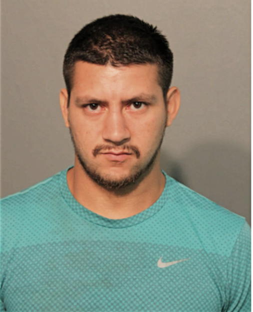 JOSE ARITA, Cook County, Illinois