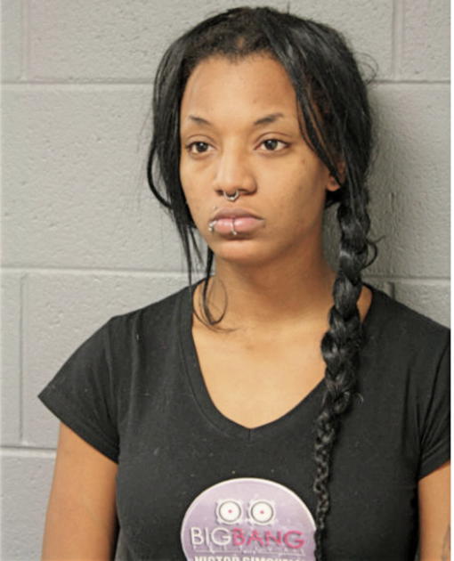 BREANNE C FABER, Cook County, Illinois