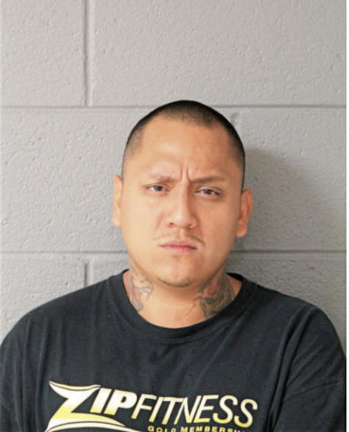 ROBERTO A GAMEZ, Cook County, Illinois