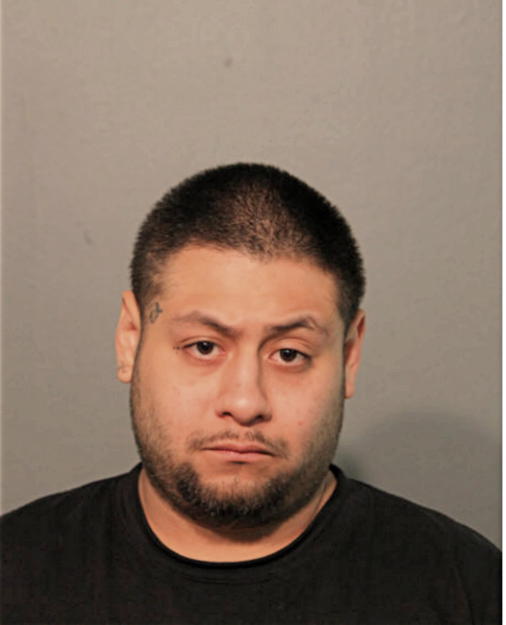 MAX GARCIA, Cook County, Illinois