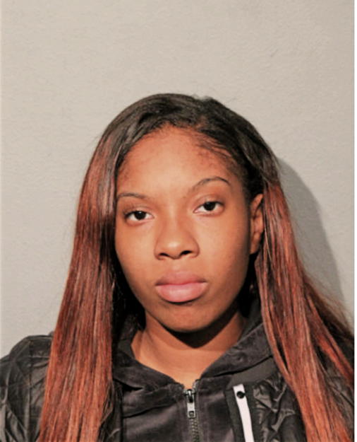 MEGAN T GLEASON, Cook County, Illinois
