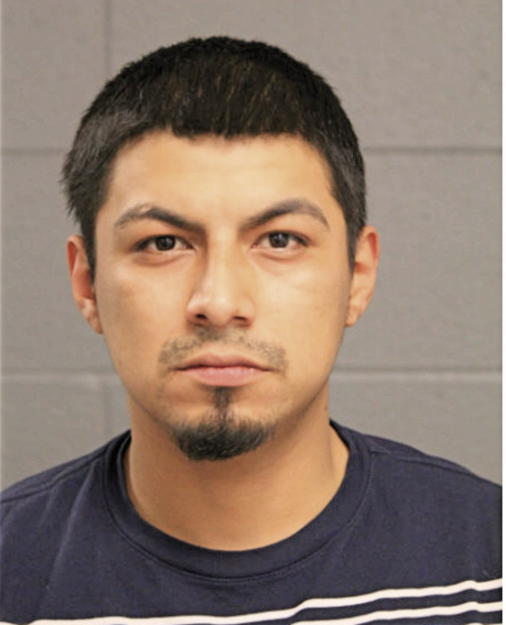 JOSHUA N GONZALEZ, Cook County, Illinois