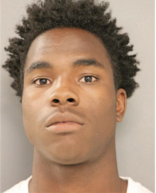 DALE A HANKERSON, Cook County, Illinois
