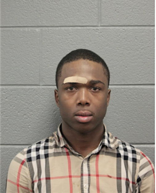 JEFFREY J HARRIS, Cook County, Illinois