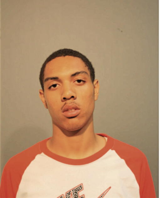 CAMERON S LOWE, Cook County, Illinois