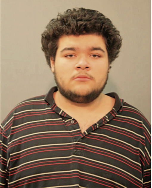 LOUIS A MALDONADO, Cook County, Illinois