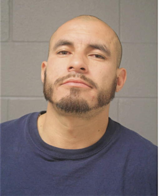 AARON ARMANDO MARTINEZ-MOLINA, Cook County, Illinois