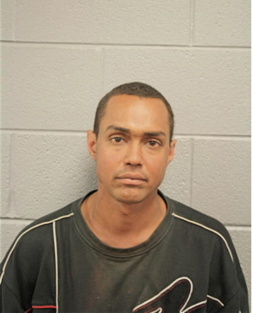 LUIS M MENDEZ, Cook County, Illinois