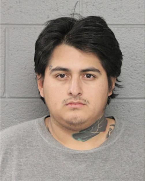 ROBERT J MENDEZ, Cook County, Illinois