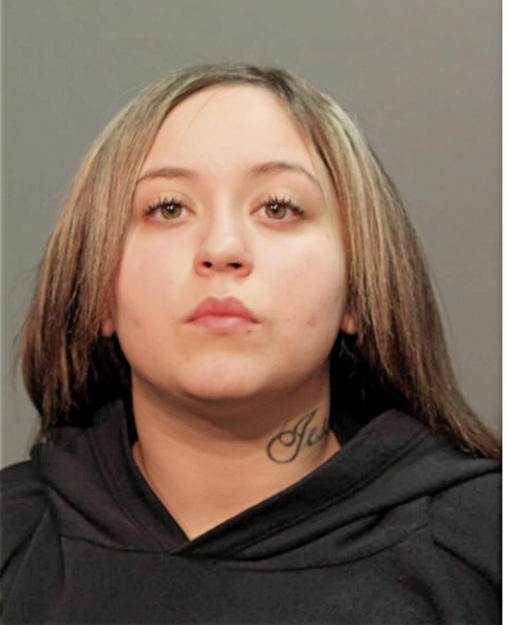 STEPHANIE N SILVERSTEIN, Cook County, Illinois