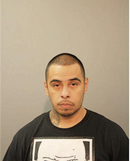 SERGIO ORTEGA, Cook County, Illinois