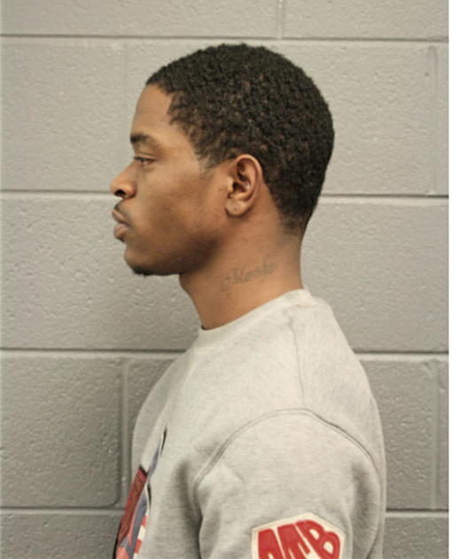 LAJUAN T REYNOLDS, Cook County, Illinois