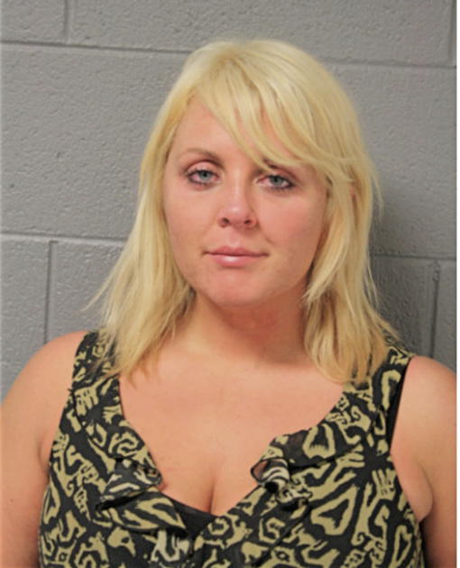 MELANIE A ROWAN, Cook County, Illinois