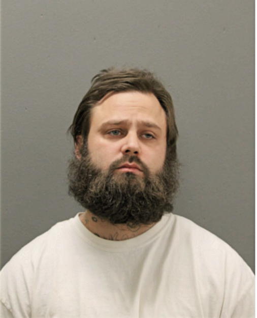 AARON D SCHREIBER, Cook County, Illinois