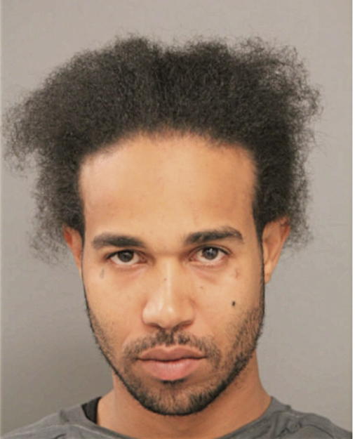 SANTANA A STEELE, Cook County, Illinois