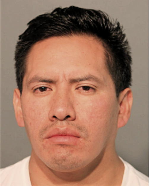 VICTOR SEGUNDO TENEZACA, Cook County, Illinois