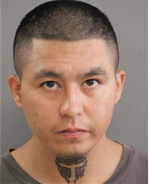 ARMANDO TORRES, Cook County, Illinois