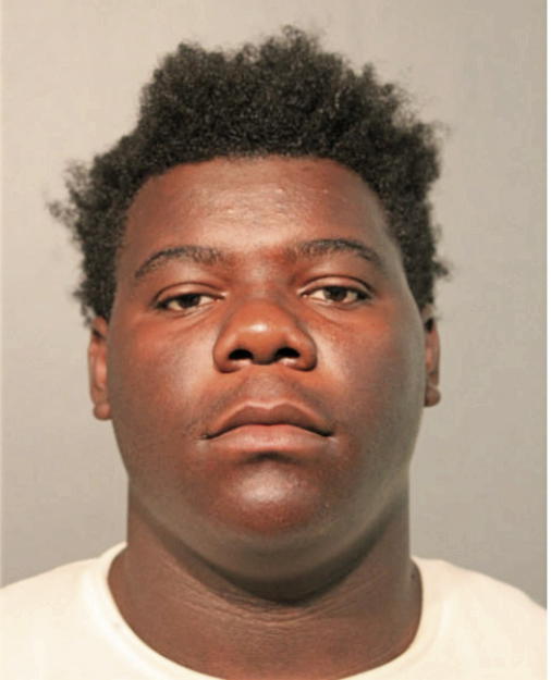 NATHANIEL D WILLIAMS, Cook County, Illinois