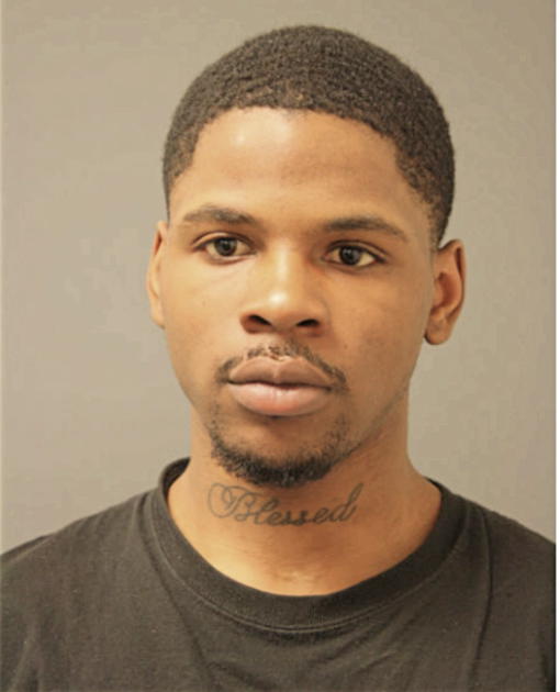 DION D YOUNG, Cook County, Illinois