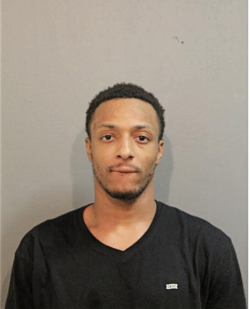 LESIE D YOUNG, Cook County, Illinois