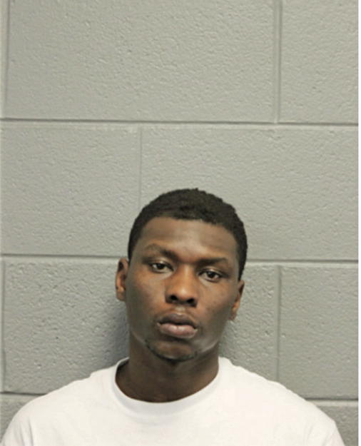DAVID J ALLEN, Cook County, Illinois