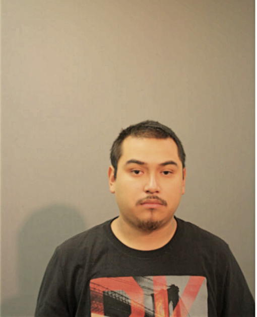 ROGELIO ARREOLA, Cook County, Illinois